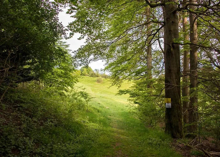 App 510 Panoramic Hohegeiss Mit Fernblick