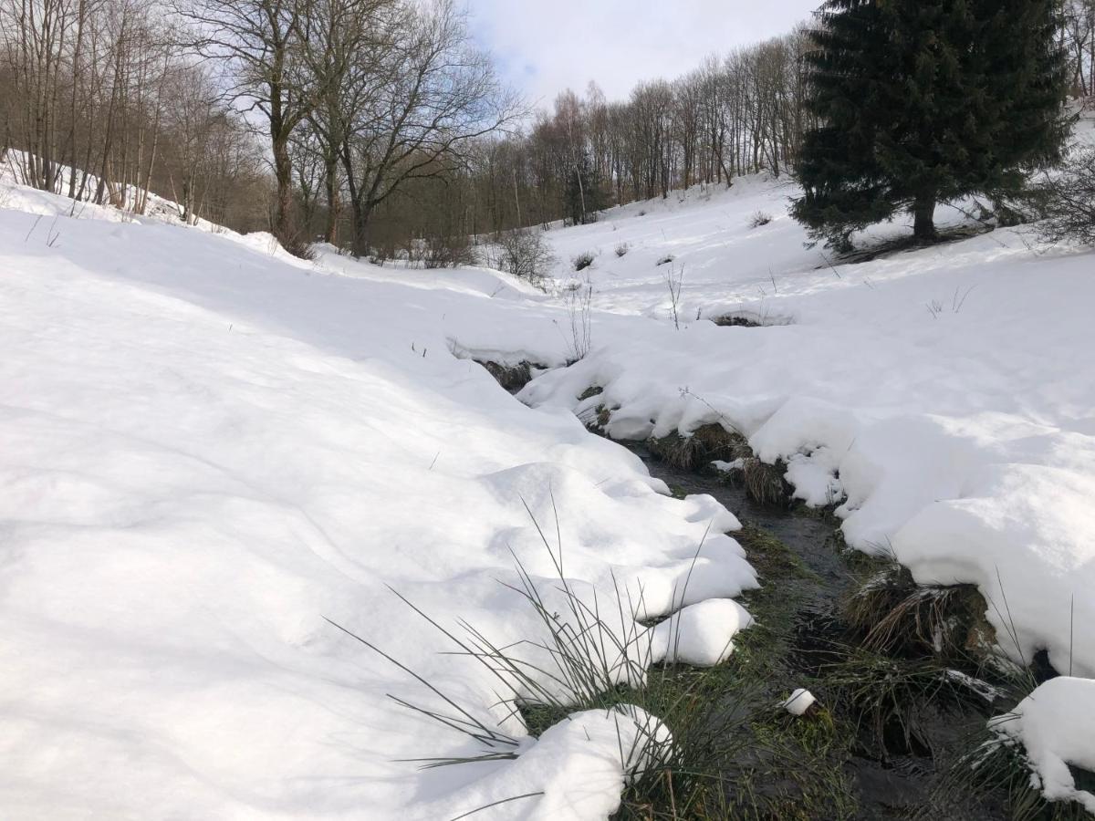 App 510 Panoramic Hohegeiss Mit Fernblick Apartment Braunlage