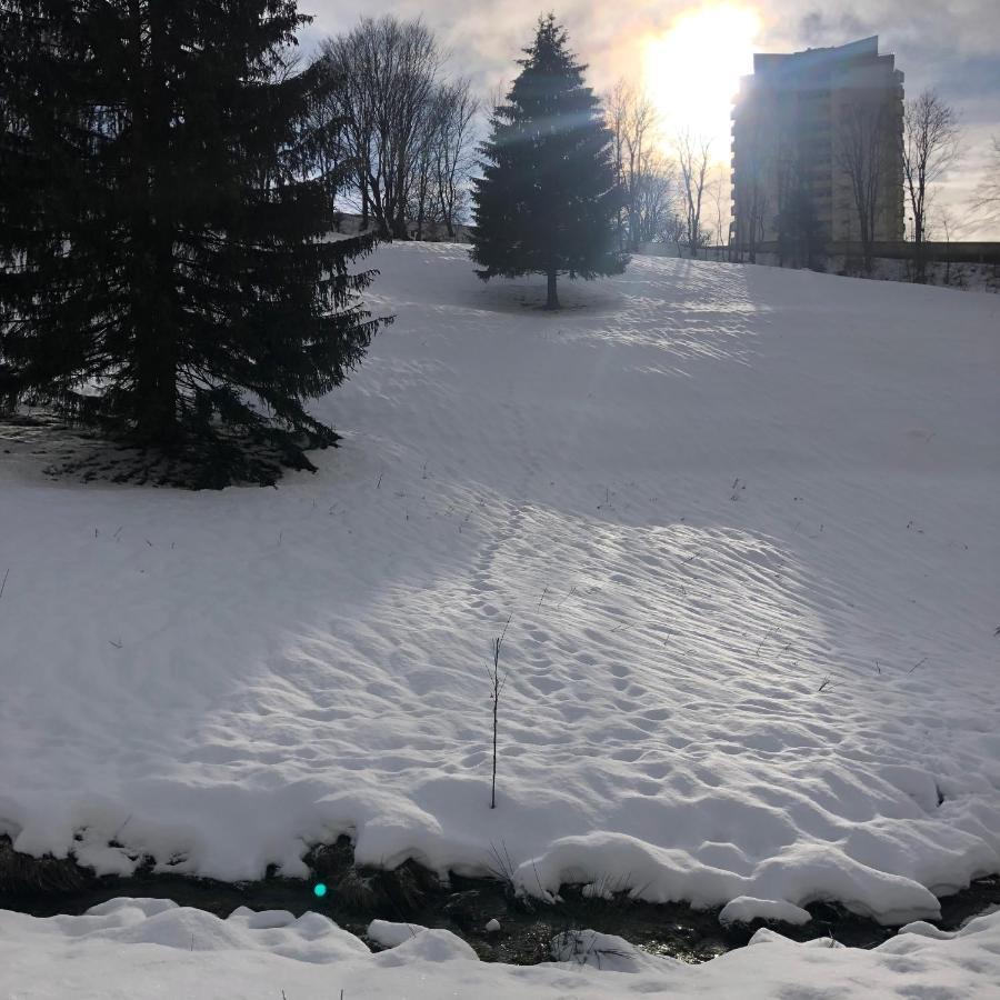 App 510 Panoramic Hohegeiss Mit Fernblick Apartment